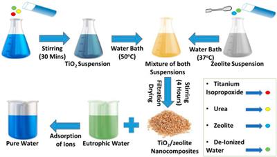 Controlled growth of TiO2/Zeolite nanocomposites for simultaneous removal of ammonium and phosphate ions to prevent eutrophication